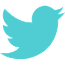 network, Logo, twitter, Social, Brand MediumTurquoise icon