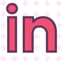 network, Logo, Linkedin, Social, Brand IndianRed icon