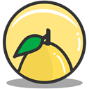 Lemon, nutrition Khaki icon