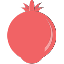 Fruit, Pomegranate Salmon icon