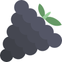 Fruit, Grapes DarkSlateGray icon