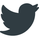 twitter, Social, media, Logo DarkSlateGray icon