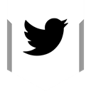 Social, media, Logo, twitter Black icon