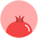 health, food, Mythology, Pomegranate LightPink icon