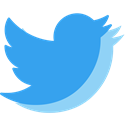 media, network, twitter, Social, tweet DodgerBlue icon