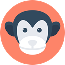 monkey, zoo, Animals, Wild Life, Animal Kingdom Salmon icon