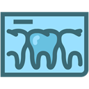 Dentist, tooth, dental, Dentistry, X Rays, dental records, tooth x ray LightSkyBlue icon