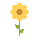 Flower, nature, sunflower, spring, ecology, blossom Black icon