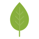 ecology, green, plant, Leaf, spring Black icon