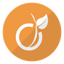 Logo, Viadeo, website, Account SandyBrown icon