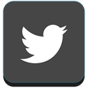 Social, media, twitter, bird, social media Icon
