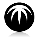Bitcomet icon