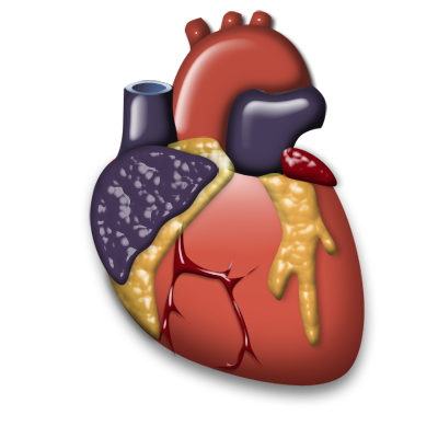 Cardiology, organ, Heart icon