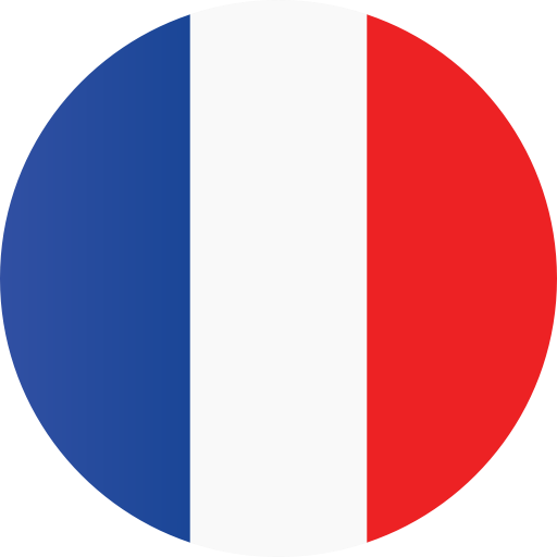 france, flag icon
