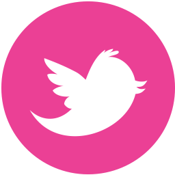 Media Twitter Social Pink Round Icon