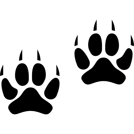 Animals, Pawprint, pet, Paws, Paw, Cat, Cats icon The pnghost database contains over 22 million free to download transparent png images.