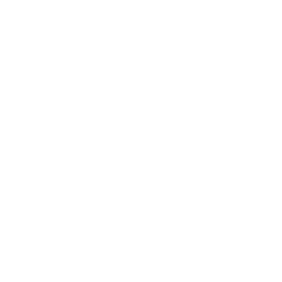Inv About Icon