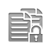 Copy, Lock, open icon