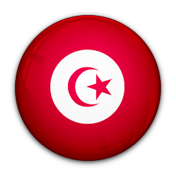 Tunisia, of, flag icon