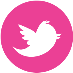 Media Twitter Social Pink Round Icon