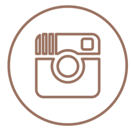 Social Circles Media Instagram Pictures Neon Line Icon