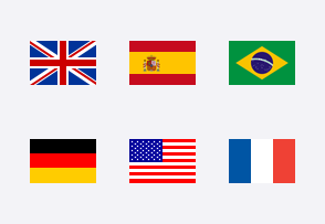 2400 flags icon packages
