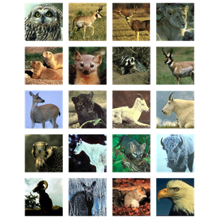 US Fish And Wildlife Service icon packages