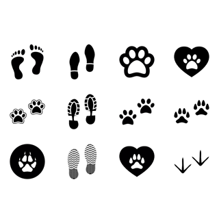 Footprints icon packages