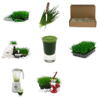 Wheatgrass icon packages