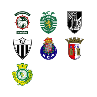 Portugese Football Club icon packages