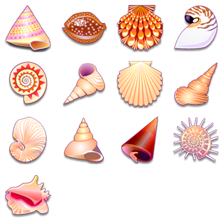 Sea Shells icon packages