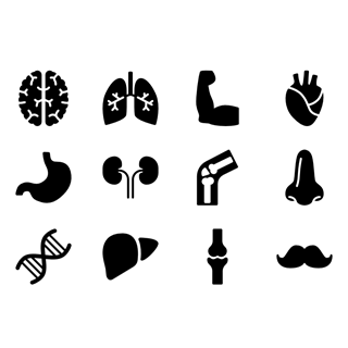 Anatomy icon packages