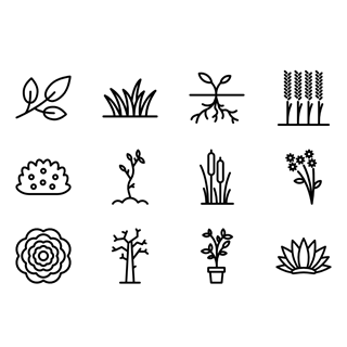 Plants and Flowers icon packages
