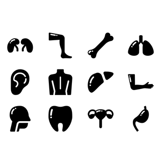 Human body solid icon packages