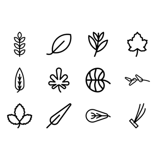 Leaves icon packages