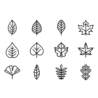Rounded Leaves Collection icon packages