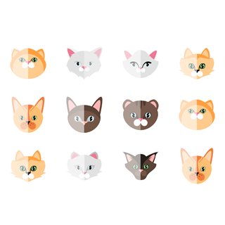 Cat Collection icon packages