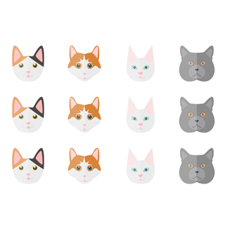 Cat Set icon packages