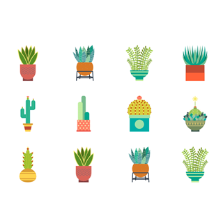 Cactus Collection icon packages