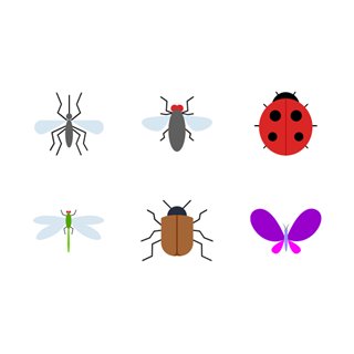 Insects Flat icon packages