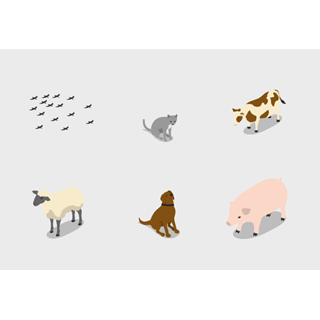 Isometric Farm - Animals icon packages