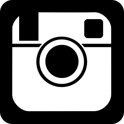 Instagram Square Logo Social Network Instagram2 Icon