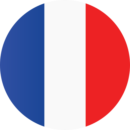 france, flag icon