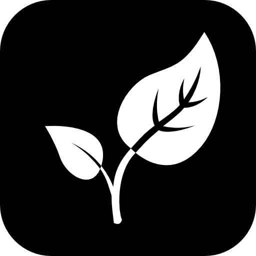 My Image 24