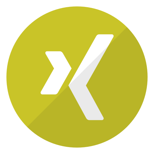 Logo Xing Icon