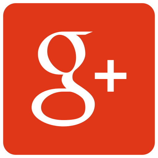 Image result for G+ icon
