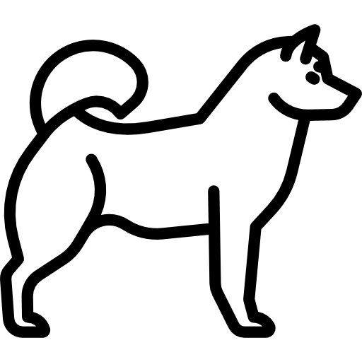 Flat dog
