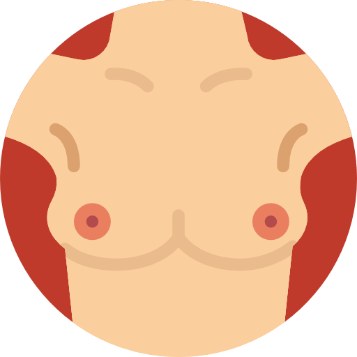 Breast, woman, Breast Implant, Human Body, medical, Bust, Female, Surgery,  Body Parts, Anatomy icon
